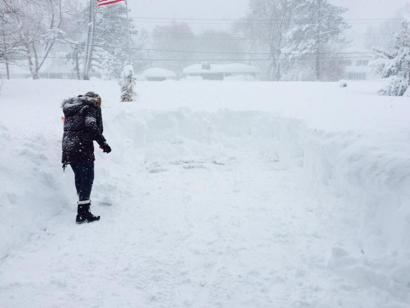 Illustration for article titled Buffalo Snow Update